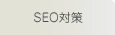 SEO΍